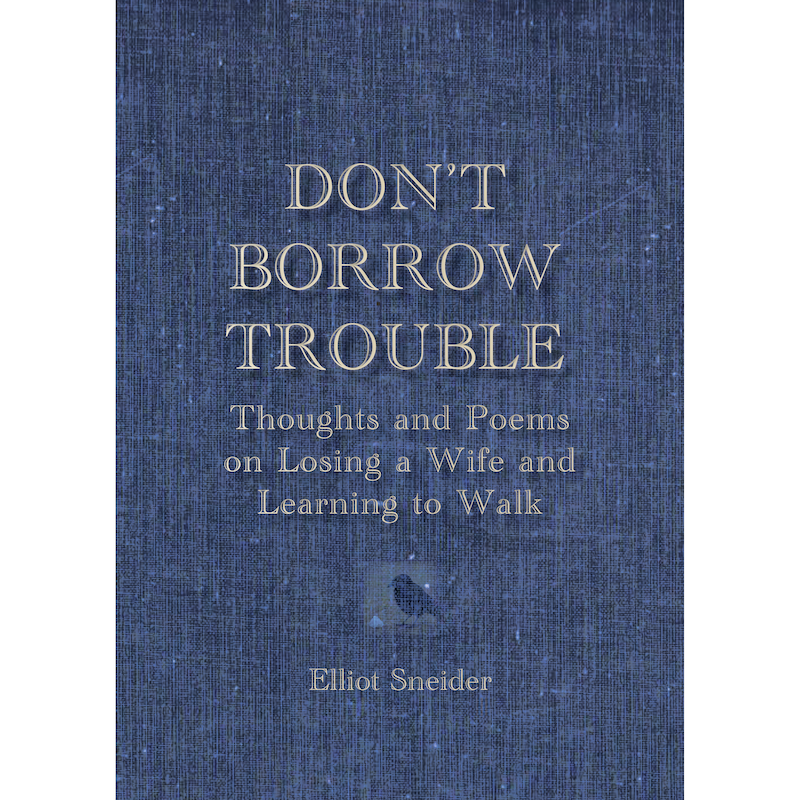 Cover of Don’t Borrow Trouble